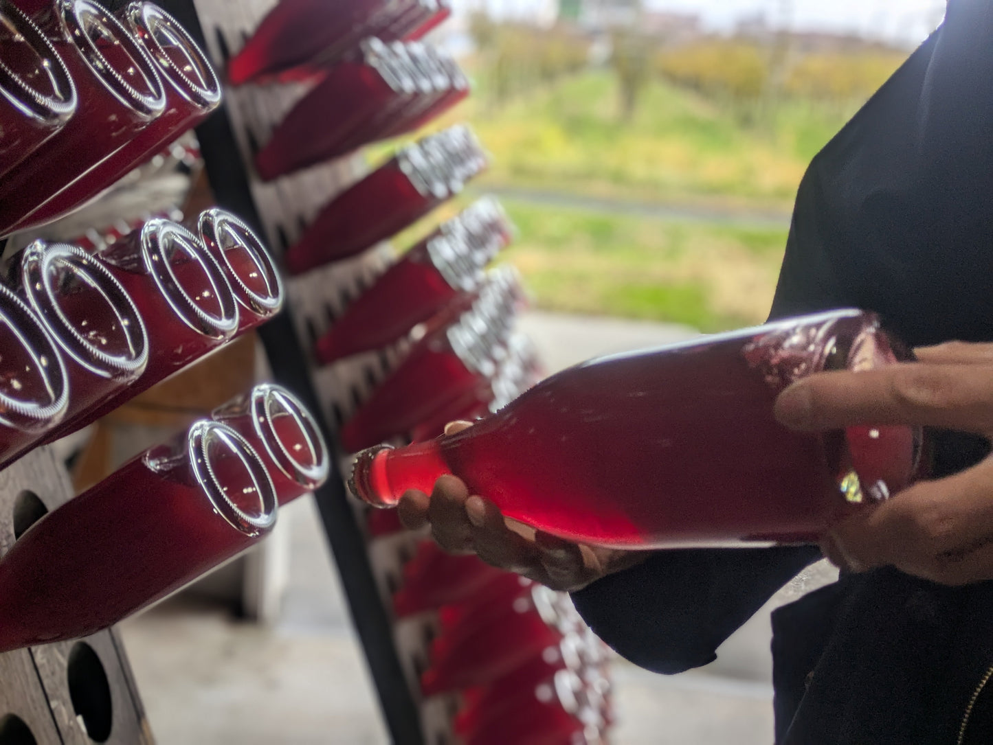 スチューベンロゼワイン仕込み