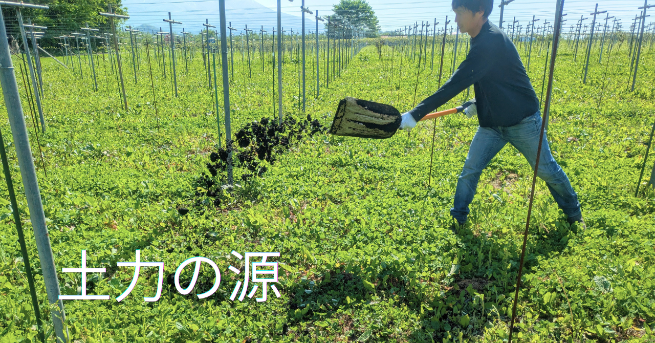 土づくりは、葡萄づくり。 by堆肥